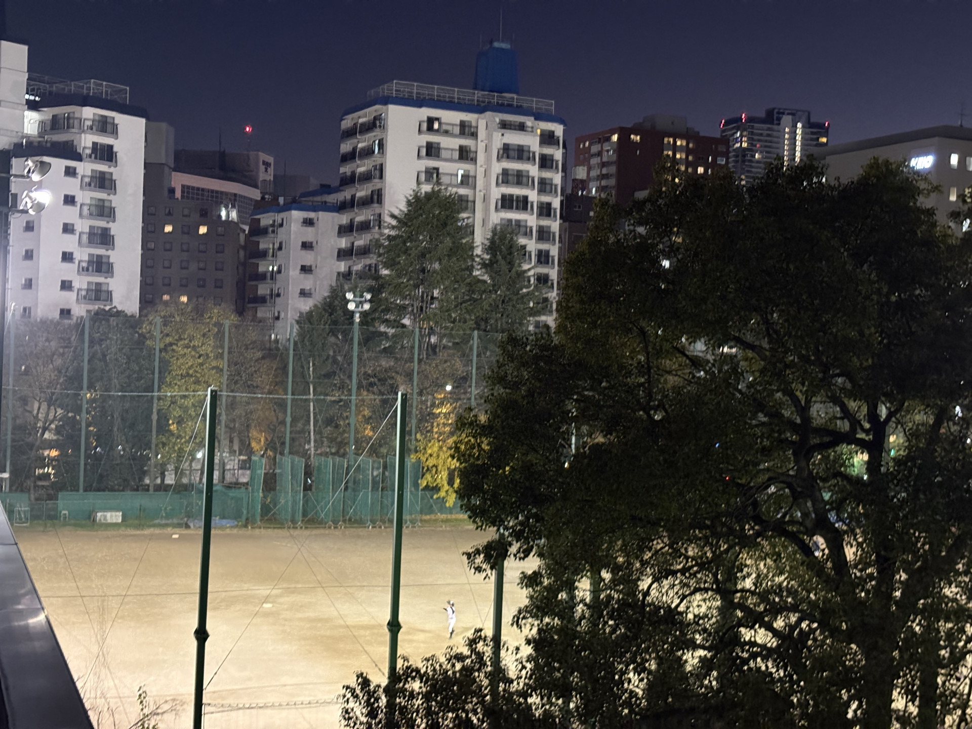 画像 -20251205-081705-d0c0c898